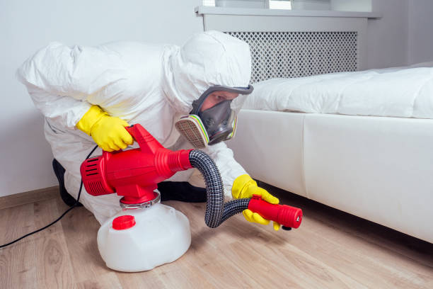 Real Estate Pest Inspections in Waynesboro, GA